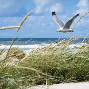 Wczasy nad morzem – Mielno / Unieście